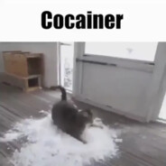 cocainer