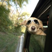 山边那个蓝精灵