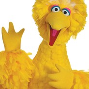 bigbird889669 's avatar