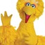 BigBird