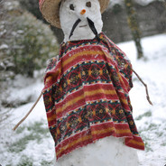 TheSnowMexican