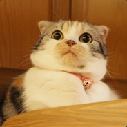 Jeb JUN Beouy