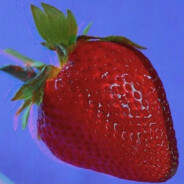 假如我猪脑过载，我会用牛子去思考