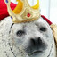 The Golden King (TaytoSeal)