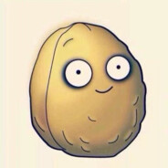 你先修我猫亮了