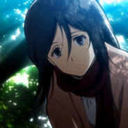 帕岛不知名阿克曼Mikasa