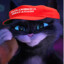 Kitty SoftPaws(Dark MAGA DJT)