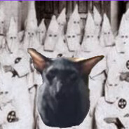 GatoNegroOficialmente