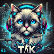 tK - steam id 76561198173497249
