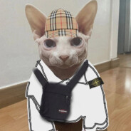 Гусь Хрустальный