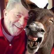 ᴬᵂᴾ 𝐵𝐼𝐸𝐿