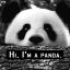 Hi I`m a PANDA