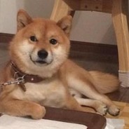 帮宋某叫一下救护车