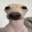 weiflav's avatar