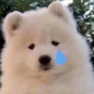 迷