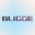 Bligge