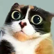 ячрвравыгшыыыыыы