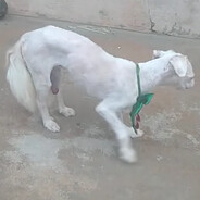 DODI