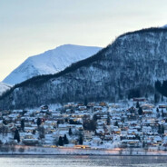 是的，没错，对的