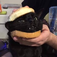 Burger_Cat