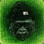 ✪Gorilla_Zoe✪