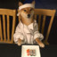 Sushi Shiba