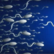 АРМИЯ МАТВЕЯ