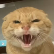 科比·布牢恩特