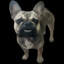 Chubert
