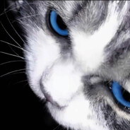 谁能凭爱要富士山私有