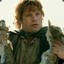 Stupide Hobbit Joufflu
