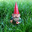 GnomePilled420