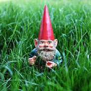 GnomePilled420