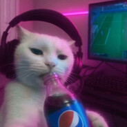 Fr1zzツ - steam id 76561199055269394