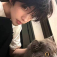 与彩儿相遇莫愁