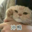 与君入怀