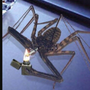 cool spider with zippo