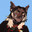Saint Martyr avatar