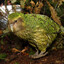 KAKAPO