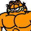 snerol