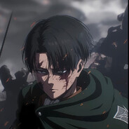 Levi