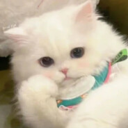 QQ奈奈好喝到没谱茶