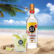 pinga 51