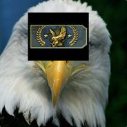 《》 TheLegendaryEagle《》