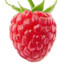 Raspberry