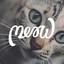 Meow2k17