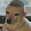 dogballs