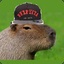 Capivara do Umbigo Sujo