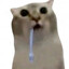 bob