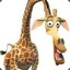 MELMAN